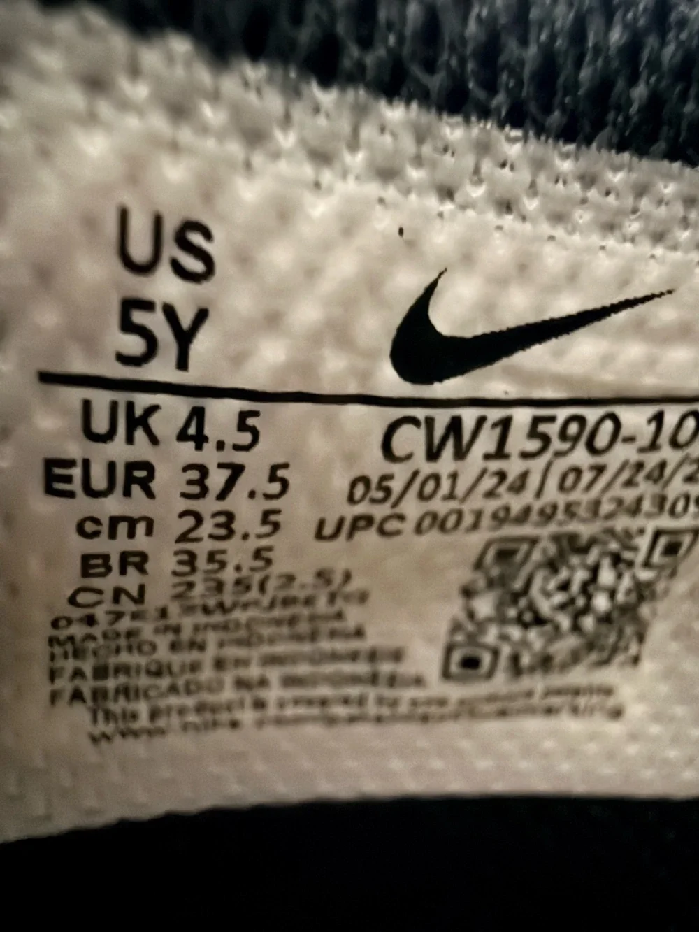 Nike Dunk Low Retro in the widely popular 